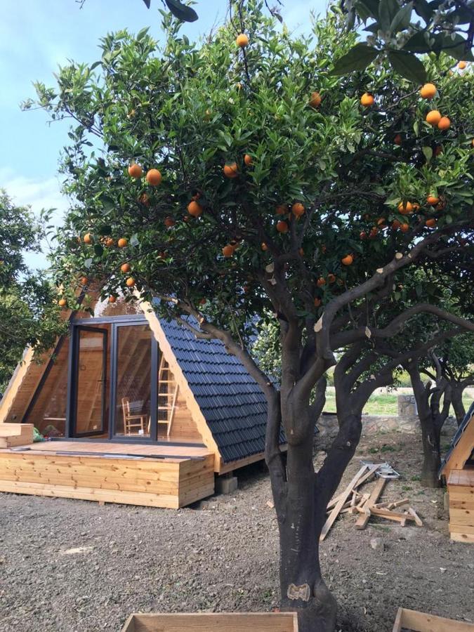 Limon Datca Exterior photo